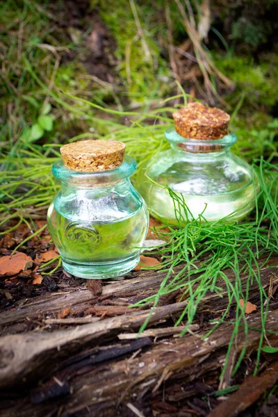 small bottles of tincture of field horsetail. Herbal tincture, extract or oil. Vertical image