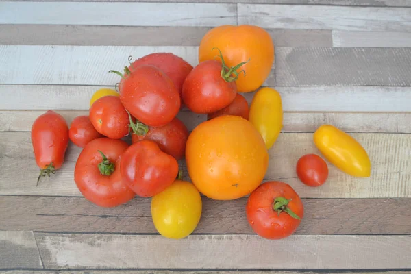 Tomaten Gemischte Sorte Bunt Rot Grün Gelb Auf Rustikalem Hintergrund — Stockfoto