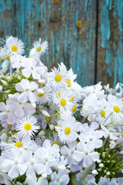 Sommer Freiheit und weiße Gänseblümchen auf schäbigem blauen Zaun Hintergrund. — Stockfoto