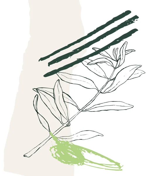 矢量手绘橄榄枝艺术板 — 图库矢量图片
