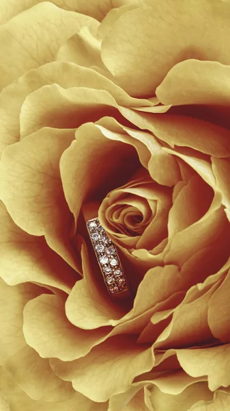 Кольцо Положить Центре Красивой Цветущей Розы Концепция Праздника День Святого — стоковое фото