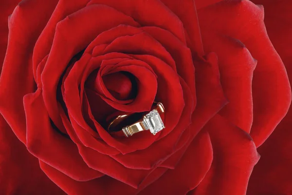 Anillo Puesto Centro Hermosa Rosa Roja Flor Concepto Día San —  Fotos de Stock