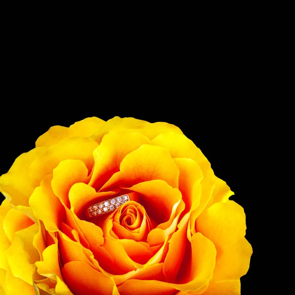 Δαχτυλίδι Στο Κέντρο Του Όμορφου Ανθισμένου Κίτρινου Τριαντάφυλλου Έννοια Των — Φωτογραφία Αρχείου