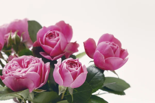 Arreglo Rosas Rosadas Composición Festiva Del Ramo Sobre Fondo Blanco — Foto de Stock