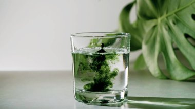 Klorofil özü, yeşil yapraklı beyaz gri arka plana cam içinde saf suya dökülür. Bir bardak suda sıvı klorofil var. Süper yiyecek kavramı, sağlıklı beslenme, detoks ve diyet