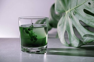 Chlorophyll extract is poured in pure water in glass against a white grey background with green leaf. Liquid chlorophyll in a glass of water. Concept of superfood, healthy eating, detox and diet clipart