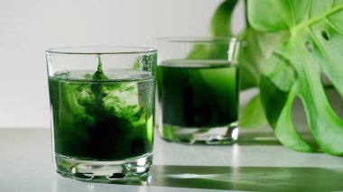 Klorofil özü, yeşil yapraklı beyaz gri arka plana cam içinde saf suya dökülür. Bir bardak suda sıvı klorofil var. Süper yiyecek kavramı, sağlıklı beslenme, detoks ve diyet