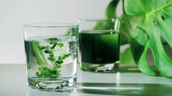 Klorofil özü, yeşil yapraklı beyaz gri arka plana cam içinde saf suya dökülür. Bir bardak suda sıvı klorofil var. Süper yiyecek kavramı, sağlıklı beslenme, detoks ve diyet