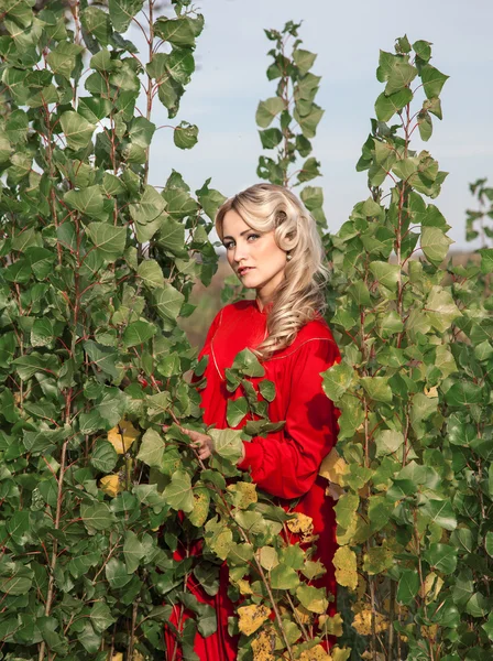 Mulher em traje tradicional na floresta no dia de verão — Fotografia de Stock