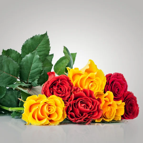 Rozenbloemen — Stockfoto