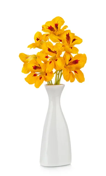 Beautiful bouquet of nasturtium flowers in a vase — Stock Photo, Image