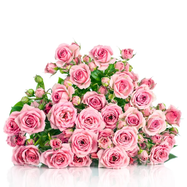 Rózsa virágok Stock Fotó