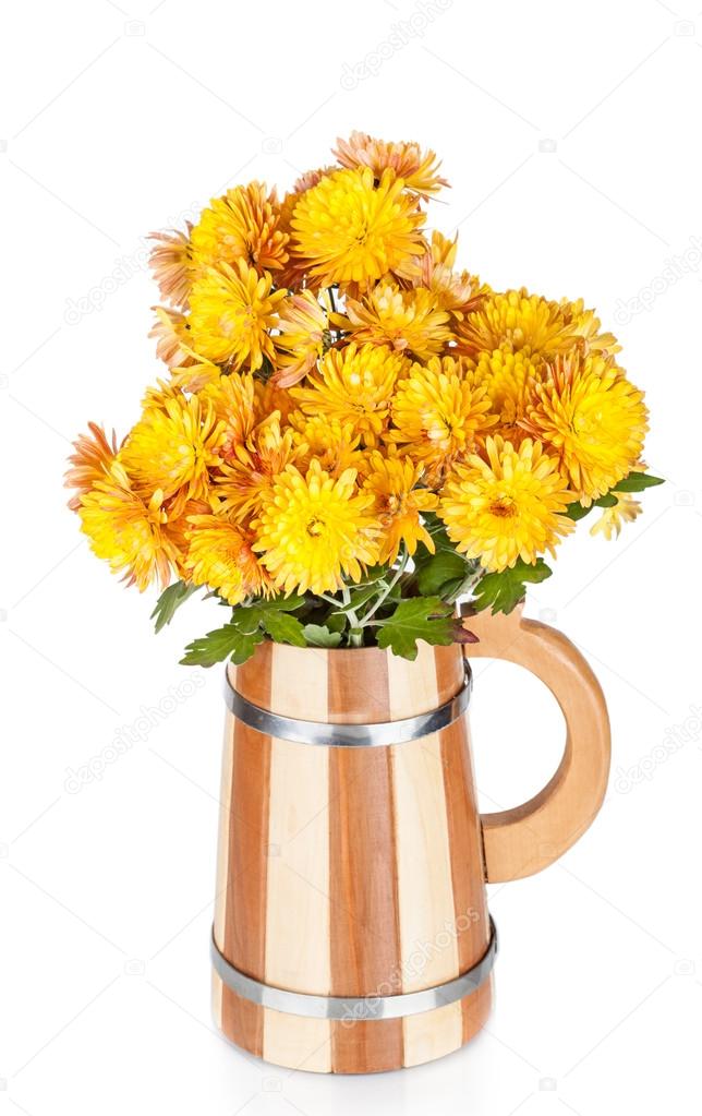 Chrysanthemum Flowers
