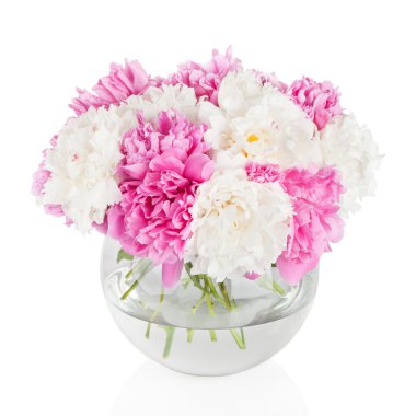 Peony çiçek petal arka plan. Paeonia lactiflora.