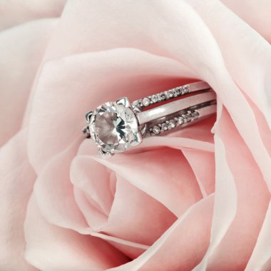 Pink Rose and diamond ring nestled inside. Macro closeup clipart