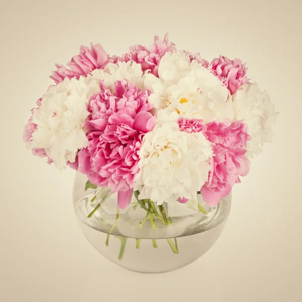 Fondo pétalo flor peonía. Paeonia lactiflora . —  Fotos de Stock
