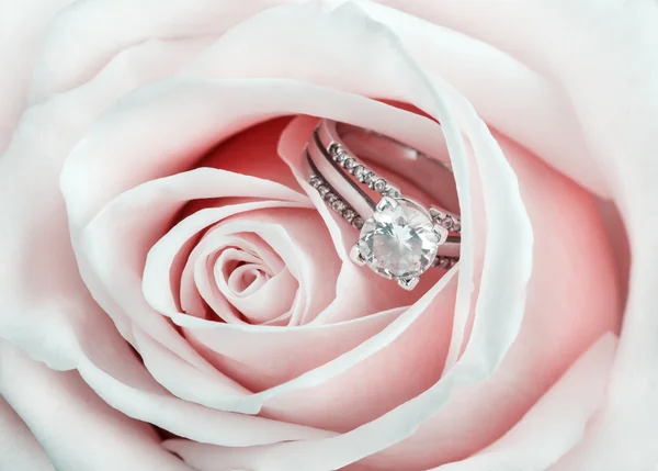 Pink Rose and diamond ring nestled inside. Macro closeup — Stock Photo, Image