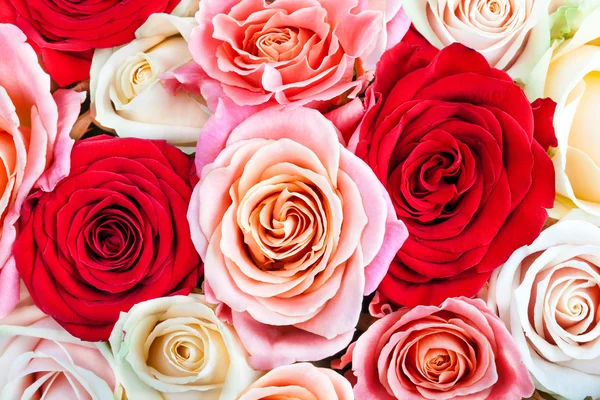 Φωτεινό, πολύχρωμο μπουκέτο από τριαντάφυλλα. Μπουτονιέρες αμουδερές — Φωτογραφία Αρχείου