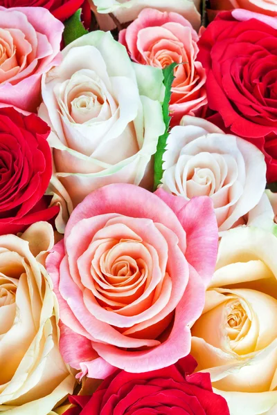 Heller, vielfarbiger Strauß Rosen. natürliche Blumen Hintergrund — Stockfoto