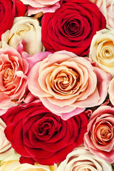 Luminoso bouquet multicolore di rose. backgroun fiori naturali — Foto Stock