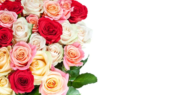 Bouquet of blossoming roses — Stock Photo, Image