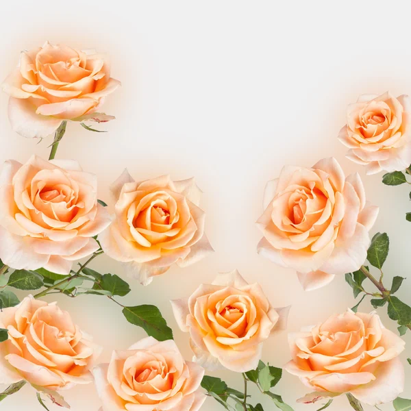 Antika arka plan gül çiçek ile. Retro zemin