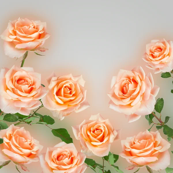 Vintage Hintergrund mit Rosen Blumen. Retro-Kulisse — Stockfoto