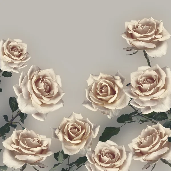 Fondo vintage con flores de rosas. Fondo retro — Foto de Stock