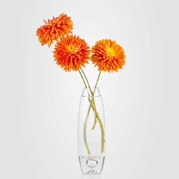 アスターの花の花瓶の美しい花束 — ストック写真