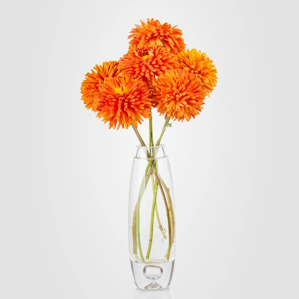 Belo buquê de flores aster em vaso — Fotografia de Stock
