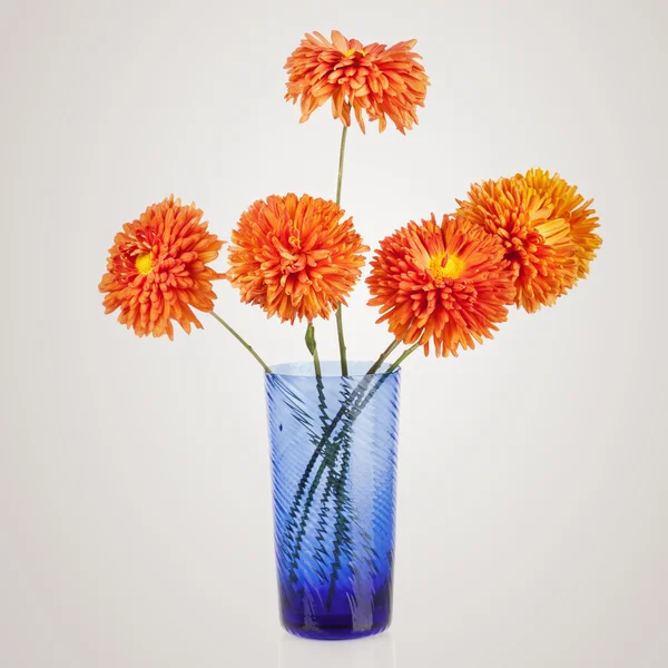 Belo buquê de flores aster em vaso azul — Fotografia de Stock