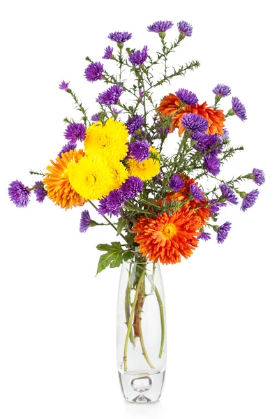 Beautiful bouquet of aster flowers in vase — Stock Photo, Image