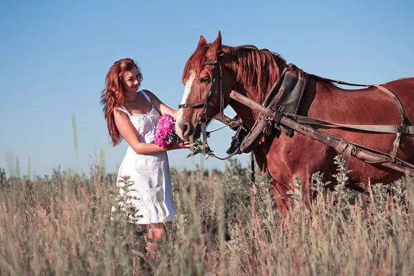 Woman and horse in summer day, outdoors. Series — Stock Photo, Image
