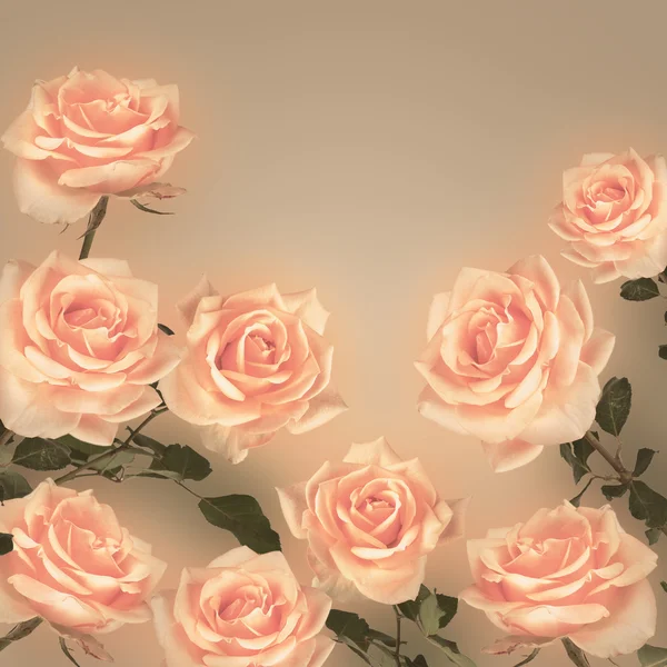 Vintage achtergrond met rozen bloemen. Retro achtergrond Stockafbeelding