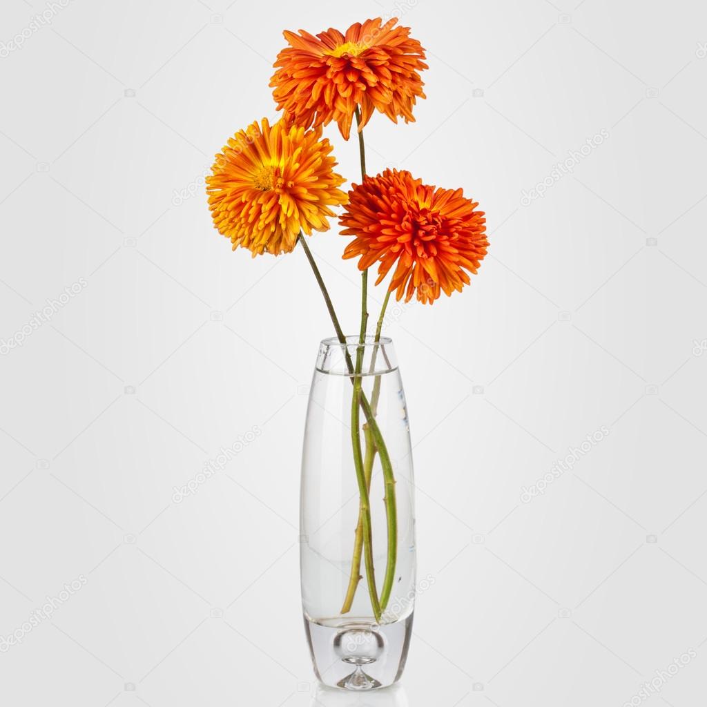 Beautiful bouquet of aster flowers in vase