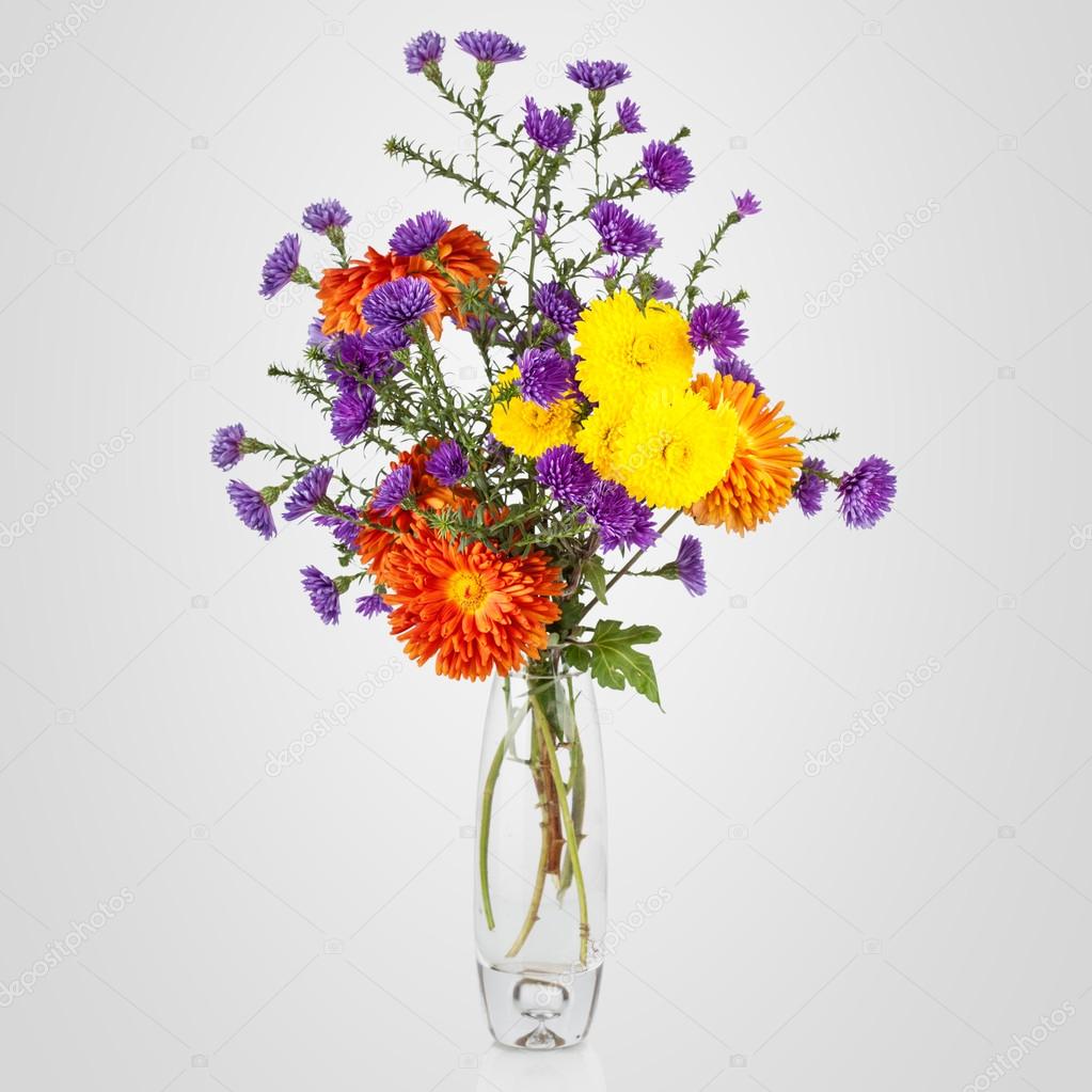Beautiful bouquet of aster flowers in vase