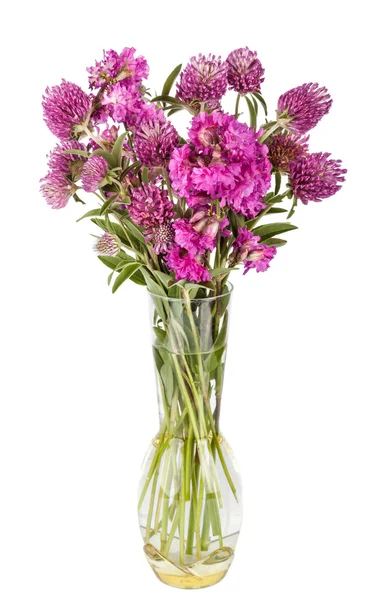Bellissimo mazzo di fiori selvatici. Fiori di campo in vaso — Foto Stock
