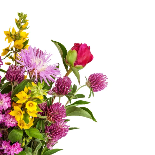 Beautiful Wild Flowers Bouquet. Wildflowers background — Stock Photo, Image