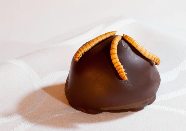 Insect Praline — Stock Photo, Image