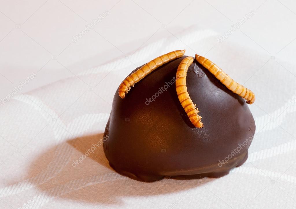 Insect Praline