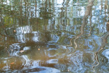 Rayong Botanik Bahçesi 'ndeki ağaçlar, Eski Kağıt Ağaç Ormanı, gölü veya nehri olan tropikal ormanlar Tayland' daki ulusal park, dağ ve tepelerde yansımalar. Doğal manzara arka planı.