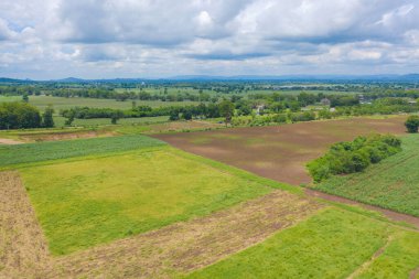 Tarım kavramında yeşil dağ tepesi olan çimen ve ekin tarlalarının havadan görünüşü. Tayland 'da doğa manzarası.
