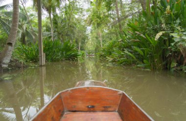 Bir kanoda kürek çekmek, Takha Kanalı 'nda ağaçlı bir tekne, Bark Ormanı, Tayland' da gölü veya nehri olan tropikal bir orman. Doğal manzara arka planı.