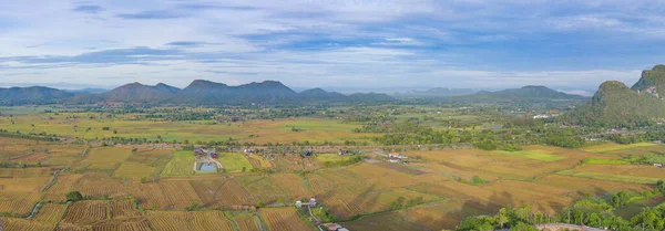 Taze Çeltik Pirincinin Havadan Görünüşü Cang Chai Nin Kırsal Kırsal — Stok fotoğraf