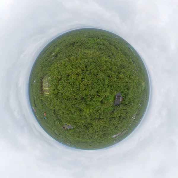 Mała Planeta 360 Stopni Panorama Lotu Ptaka Kokosy Lub Palmy — Zdjęcie stockowe