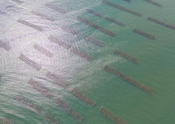 Luftaufnahme Von Aquakulturnetzen Für Eine Fischzucht Einem See Sri Racha — Stockfoto
