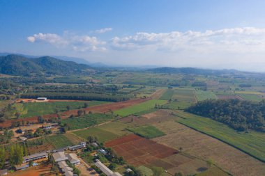 Taze çimenlerin, pirincin ve tarım konseptindeki yeşil dağ tepelerinin havadan görünüşü. Tayland 'daki doğa manzarası. hasat