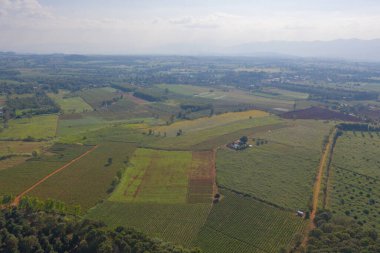 Taze çimenlerin, pirincin ve tarım konseptindeki yeşil dağ tepelerinin havadan görünüşü. Tayland 'daki doğa manzarası. hasat