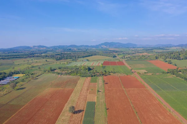 Taze Çimenlerin Pirincin Tarım Konseptindeki Yeşil Dağ Tepelerinin Havadan Görünüşü — Stok fotoğraf