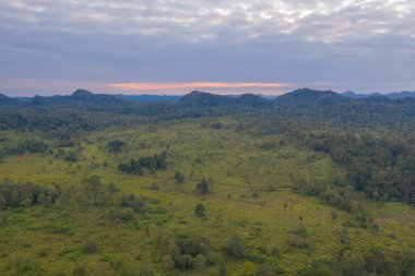 Thung Yai Naresuan Vahşi Yaşam Sığınağı 'ndaki yeşil alan dağlarının havadan görünüşü, Tak, Tayland' da Umphang Bölgesi. Vahşi yaşam çeşitliliği, günbatımında bitkiler.